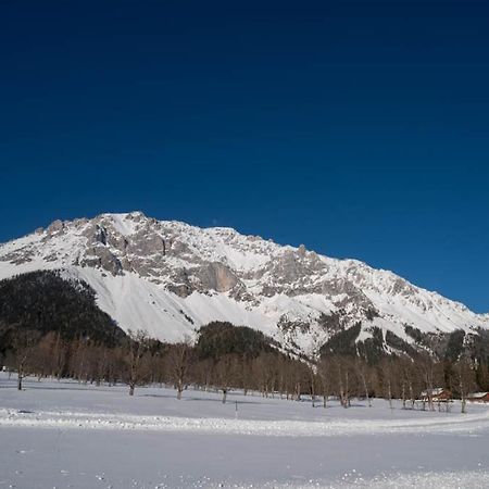 Adlernest Lejlighed Ramsau am Dachstein Eksteriør billede