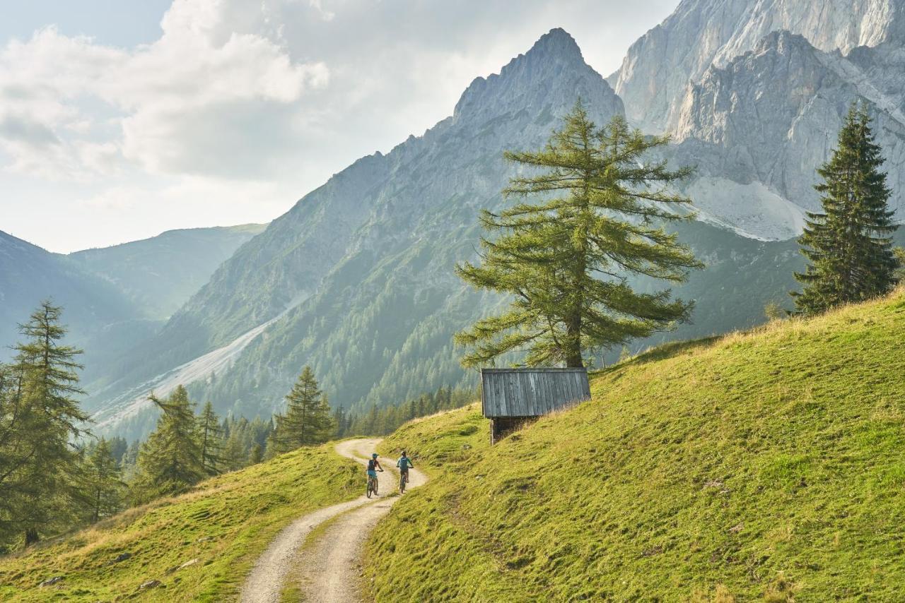 Adlernest Lejlighed Ramsau am Dachstein Eksteriør billede