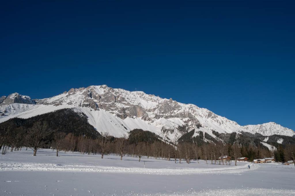 Adlernest Lejlighed Ramsau am Dachstein Eksteriør billede